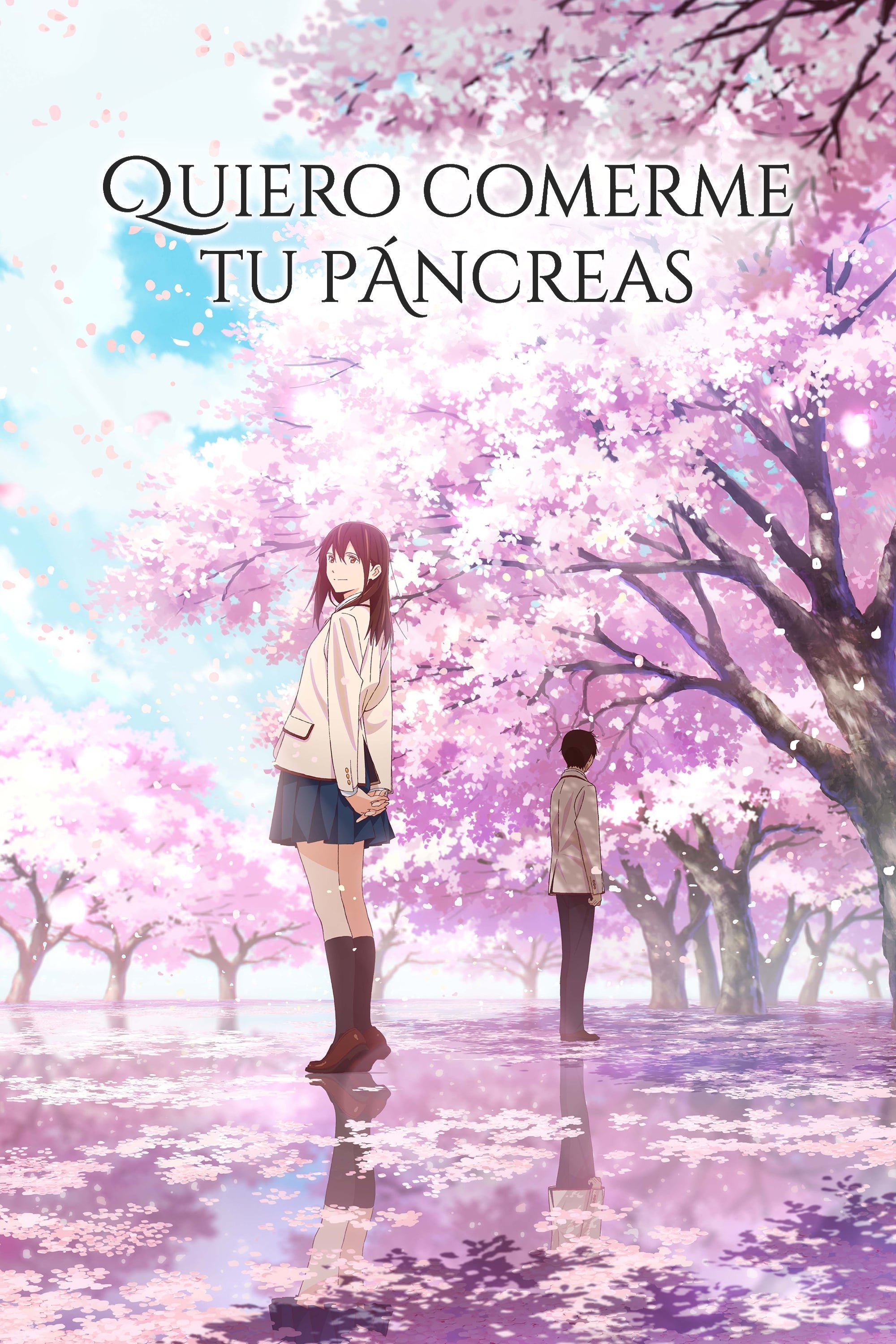 I Want to Eat Your Pancreas Wallpaper