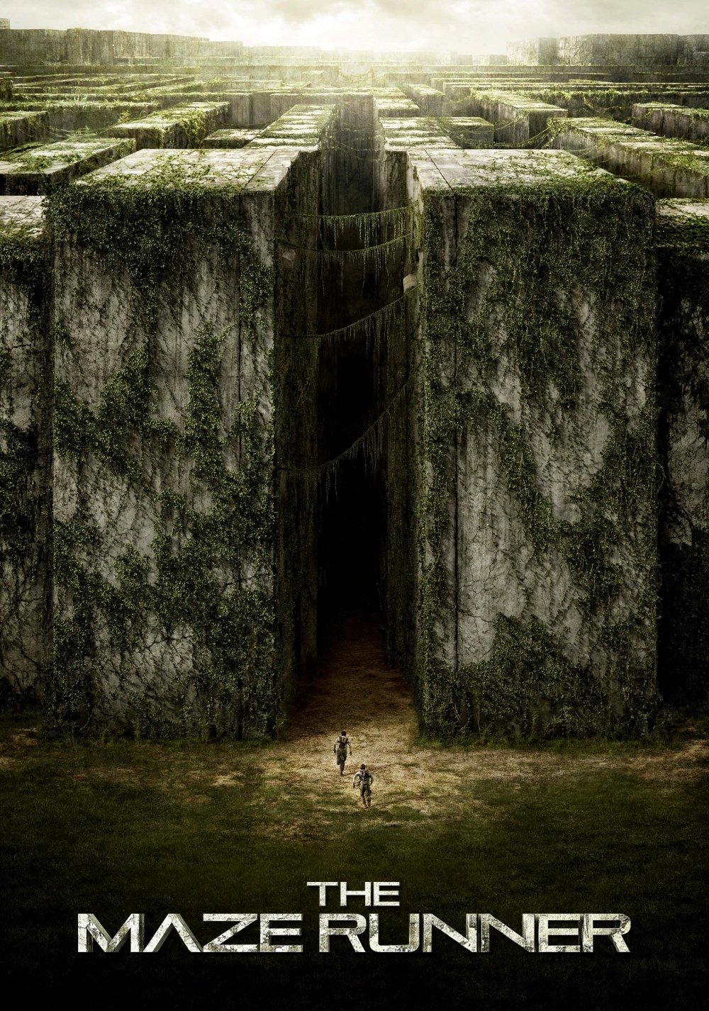 The Maze Runner Wallpaper