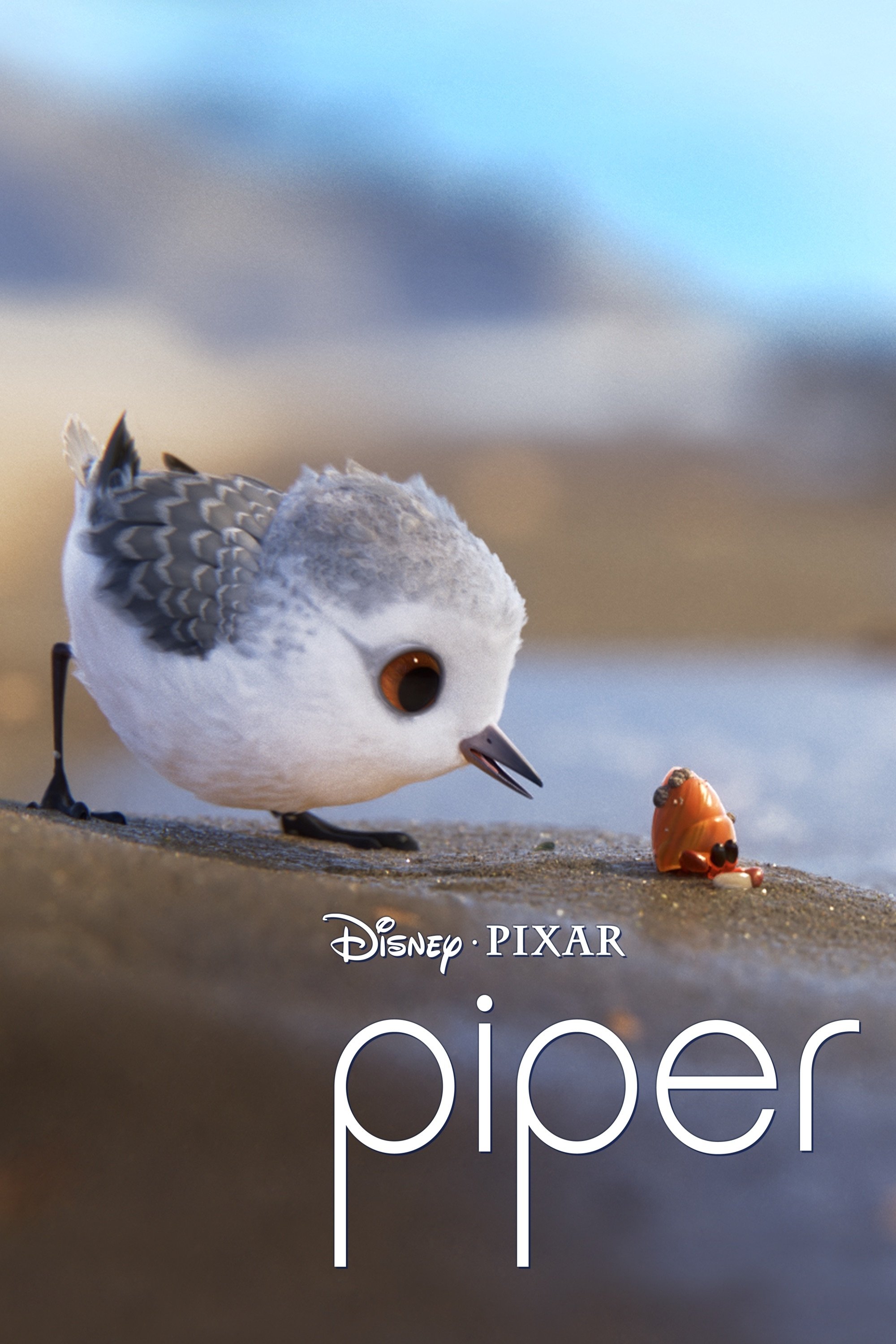 Piper Wallpaper