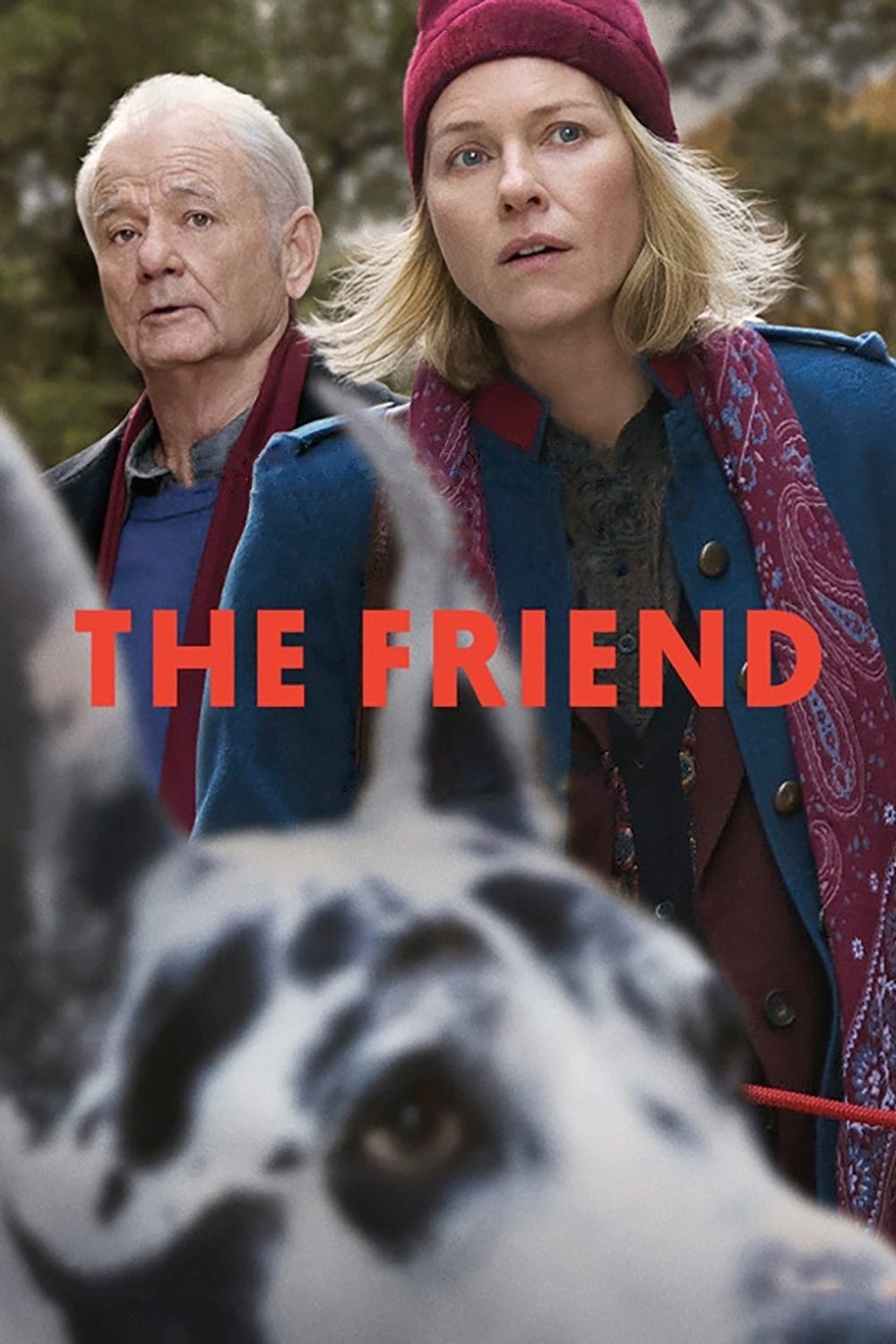 The Friend Wallpaper