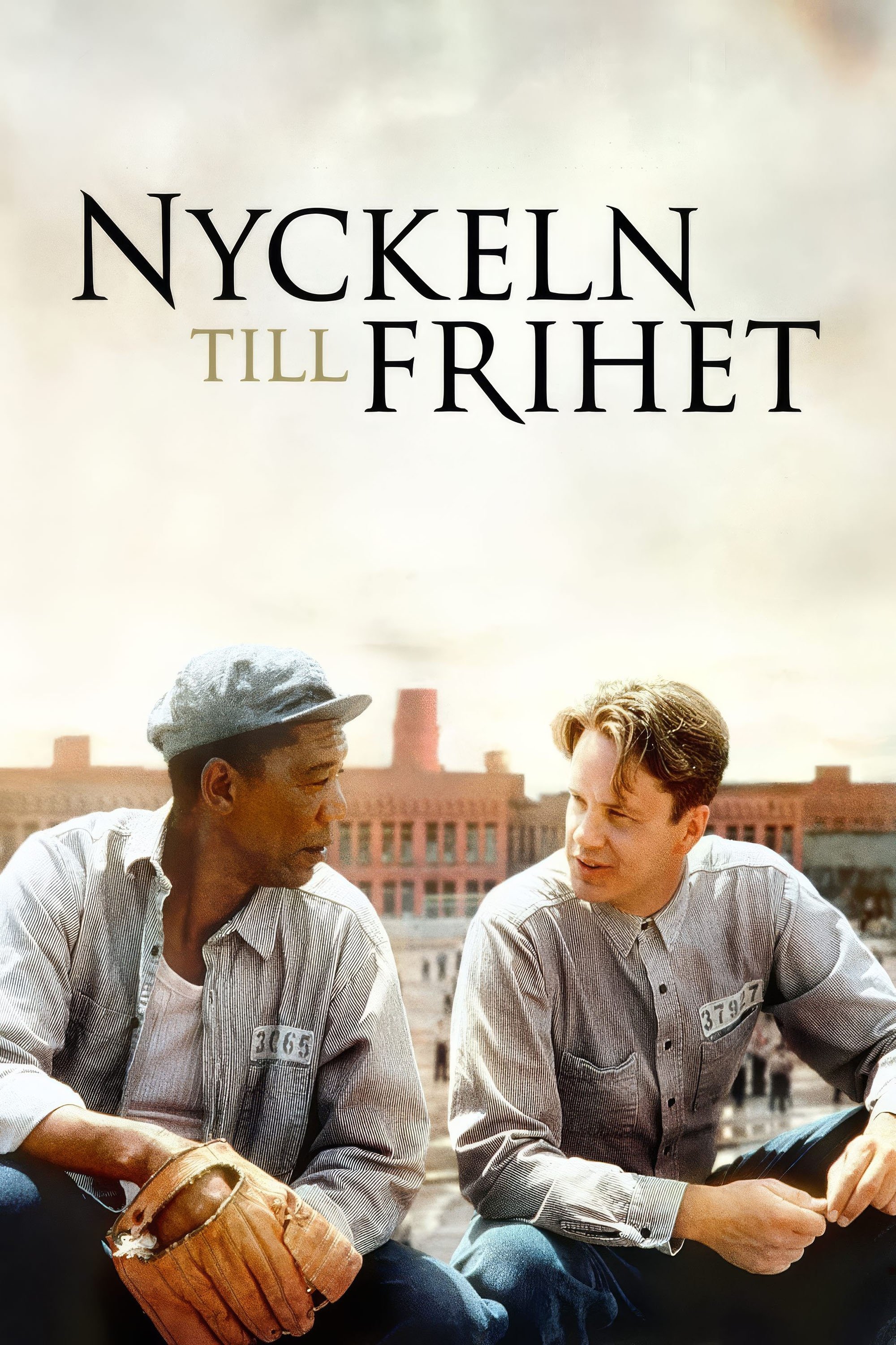 The Shawshank Redemption Wallpaper