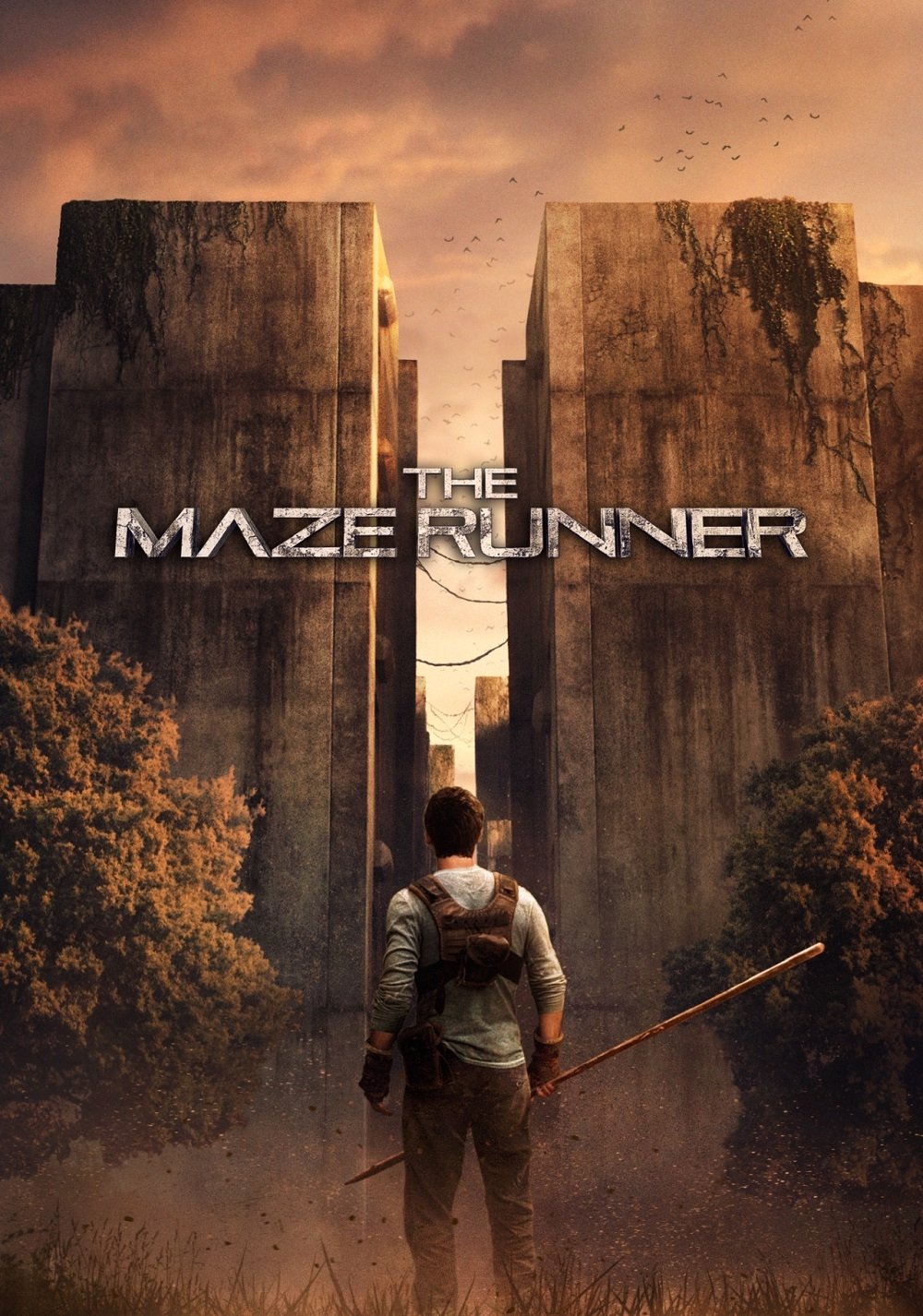 The Maze Runner Wallpaper