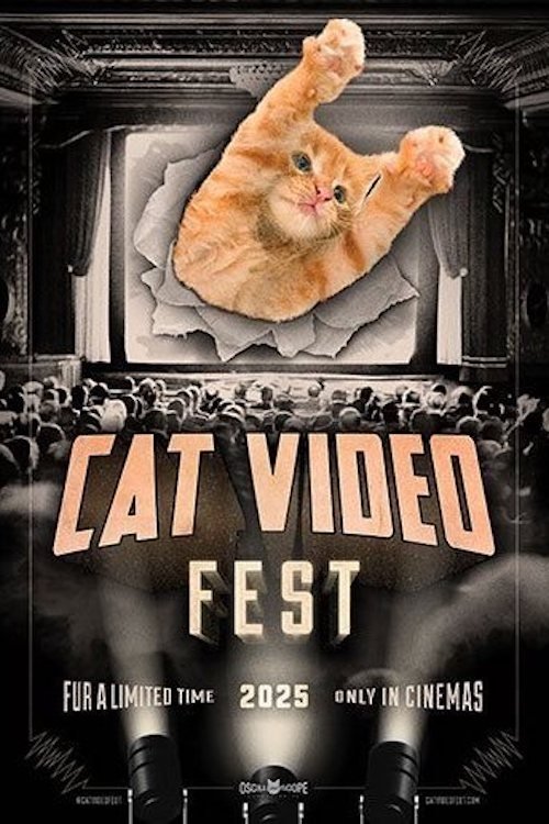 CatVideoFest 2025 Wallpaper