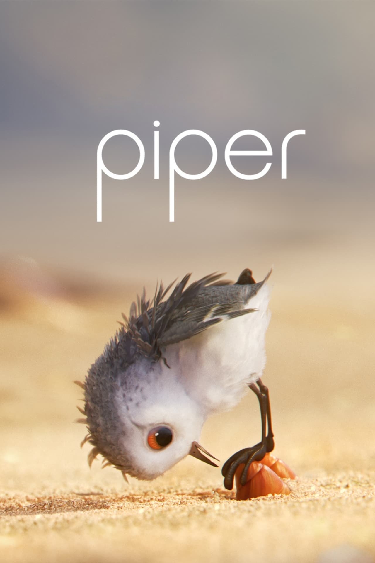 Piper Wallpaper