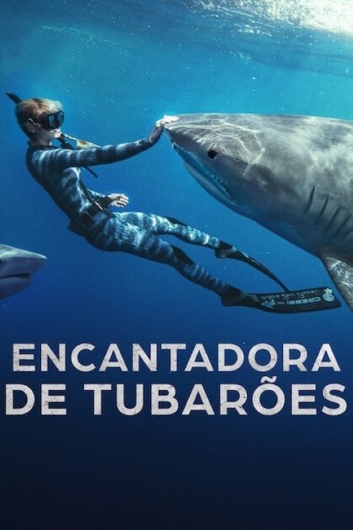 Shark Whisperer Wallpaper