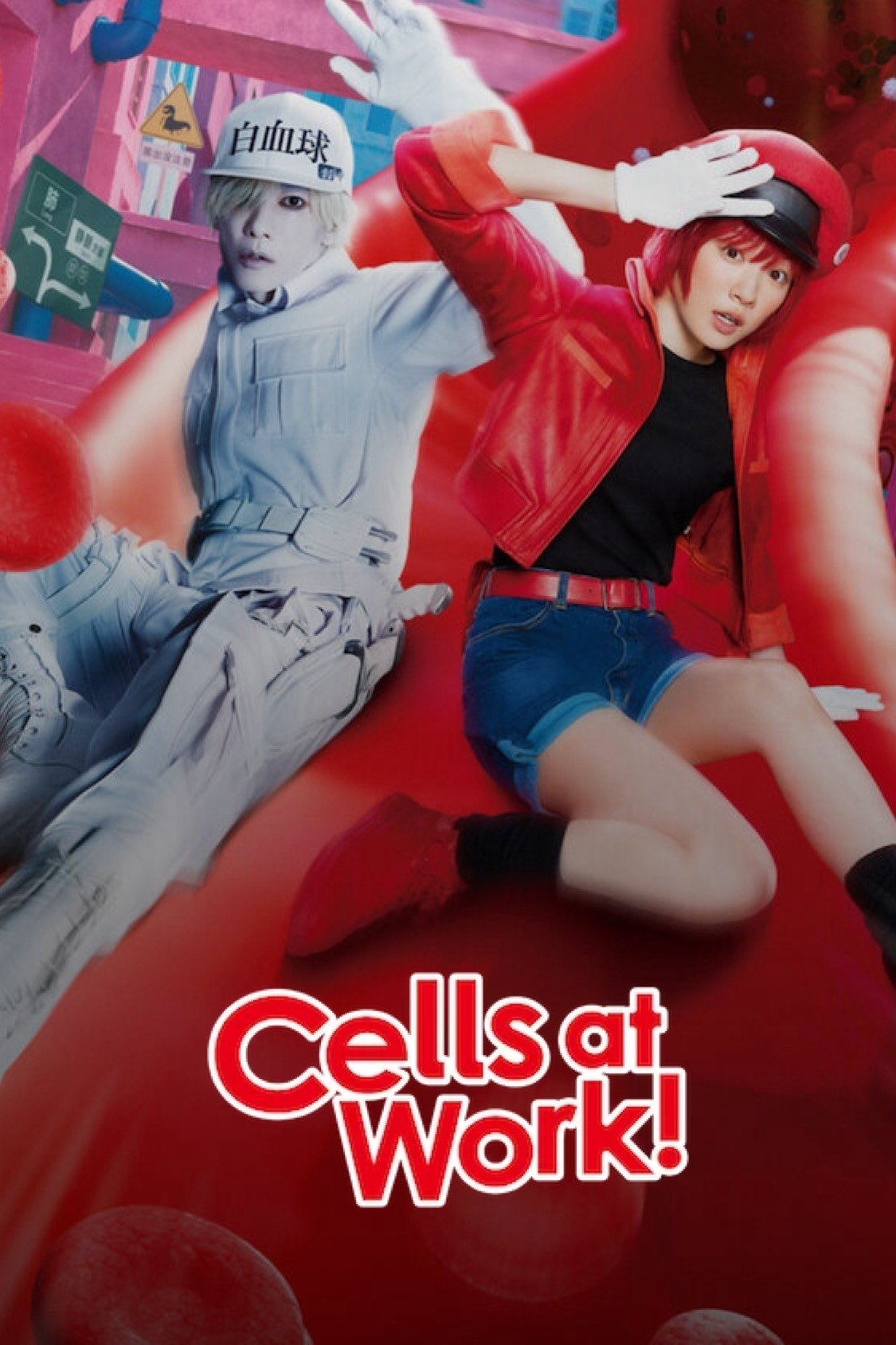 Cells at Work! Wallpaper