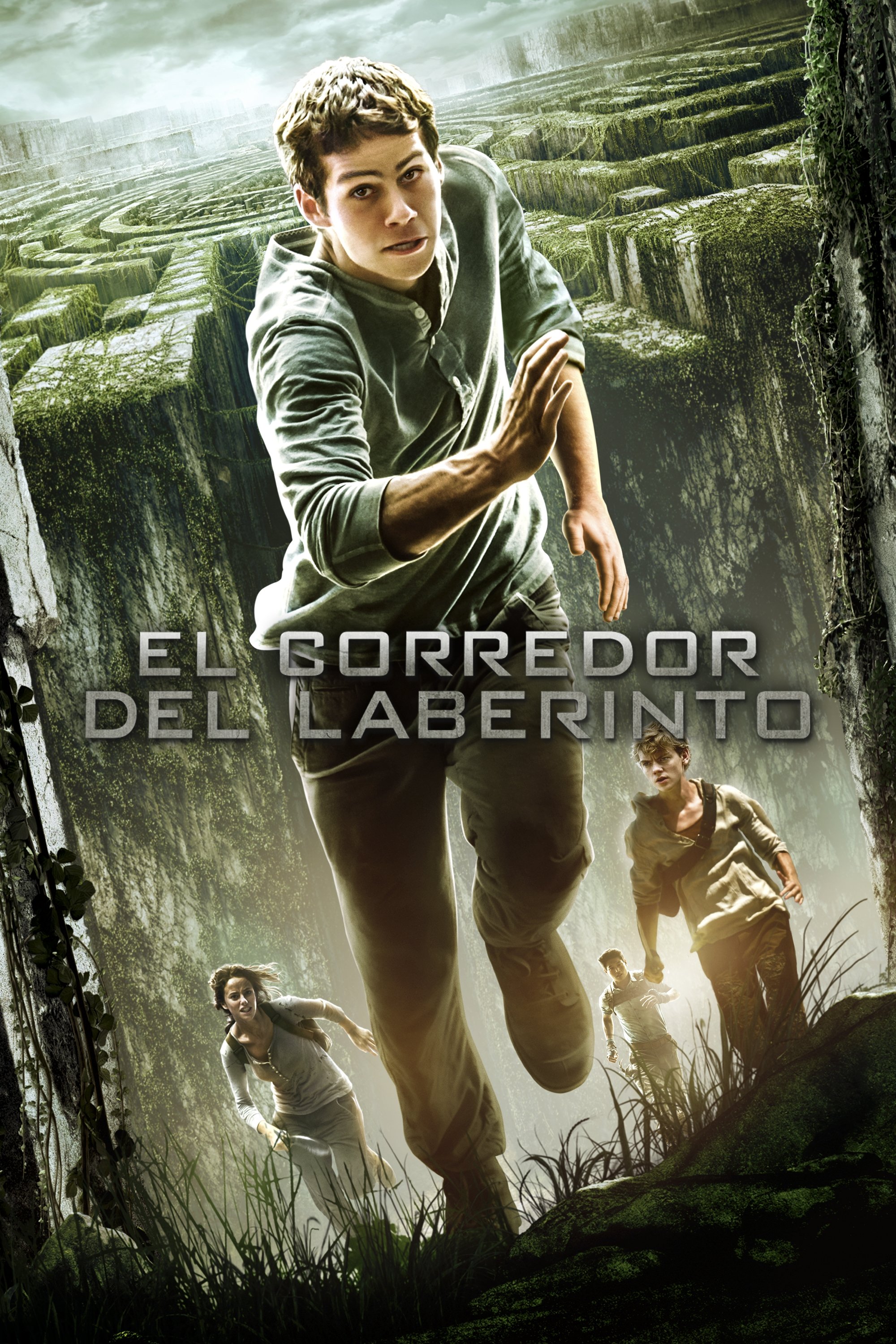 The Maze Runner Wallpaper