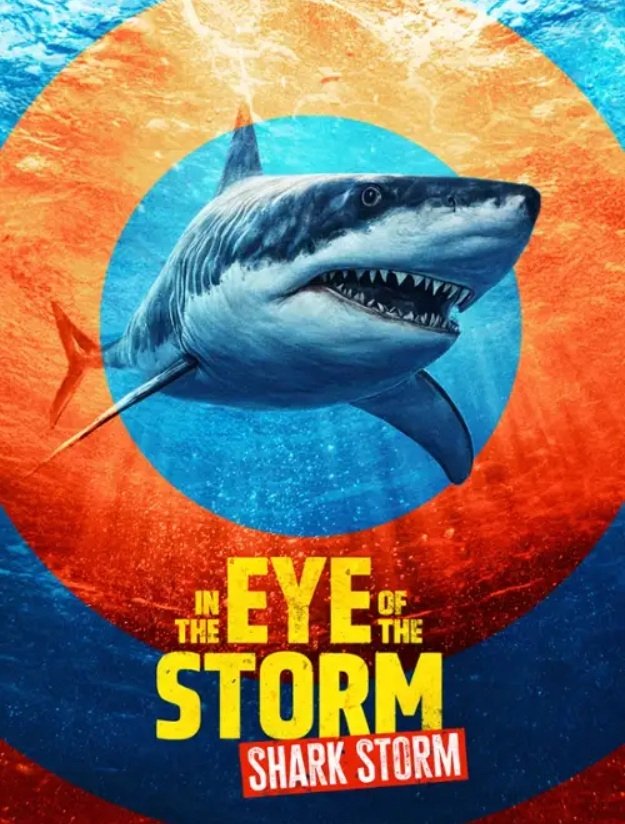 In the Eye of the Storm Shark Storm Wallpaper