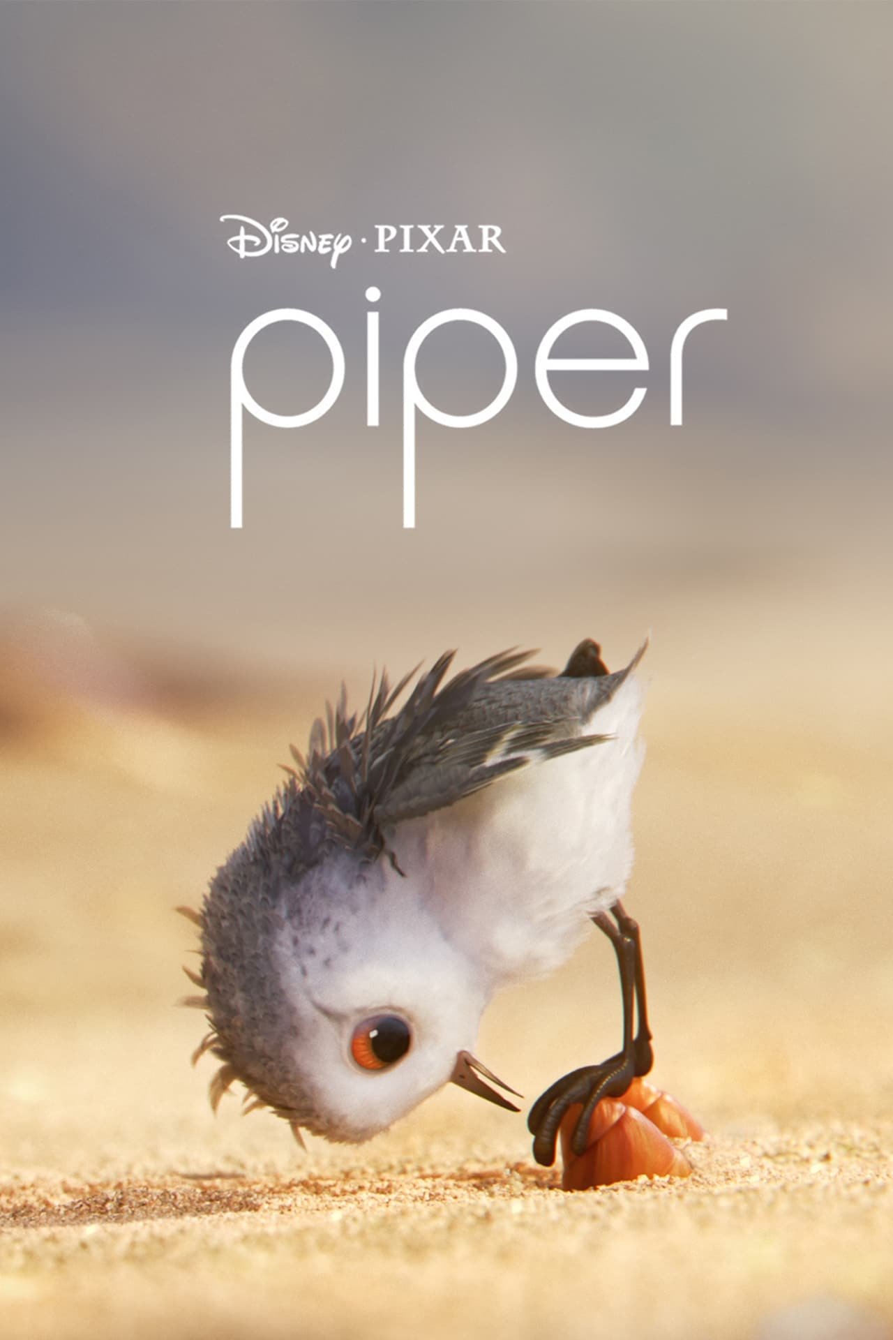 Piper Wallpaper