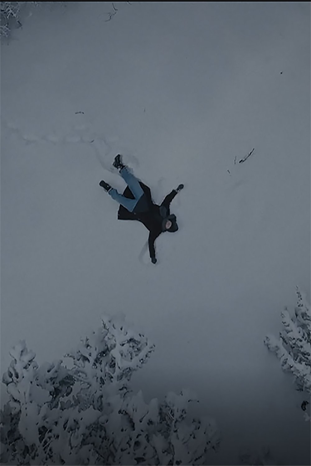 Out of the Woods Wallpaper