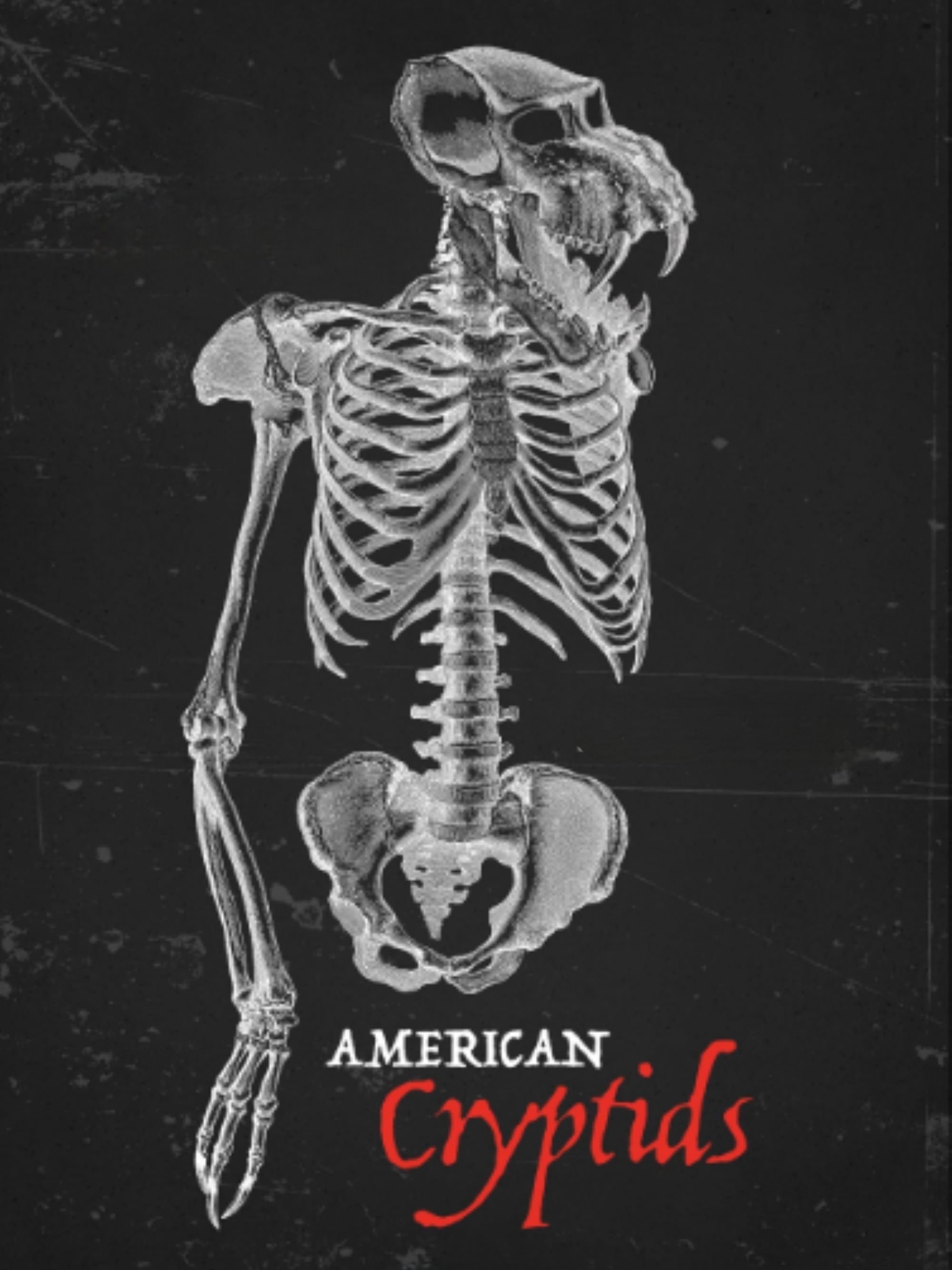 American Cryptids Wallpaper