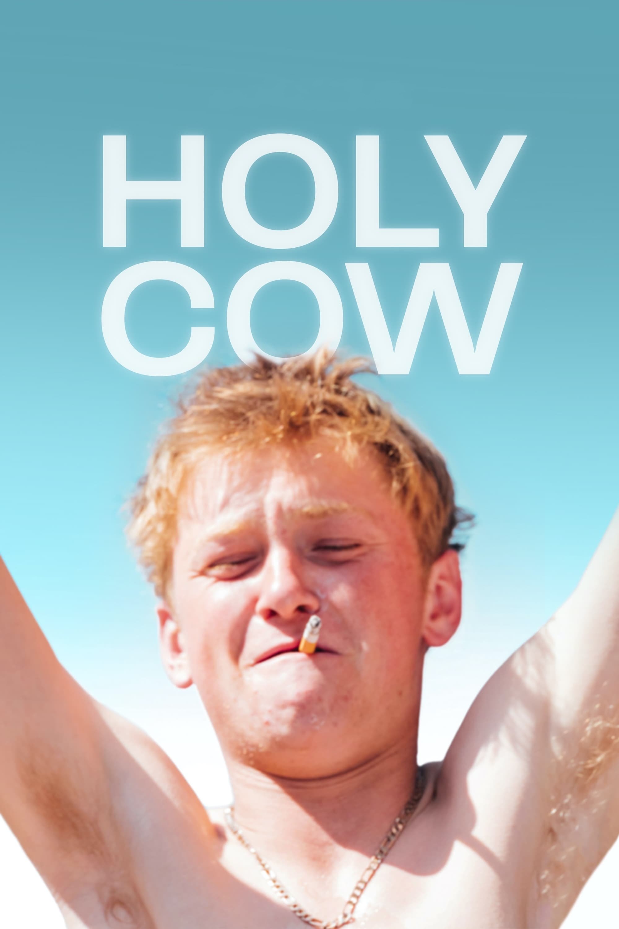 Holy Cow Wallpaper