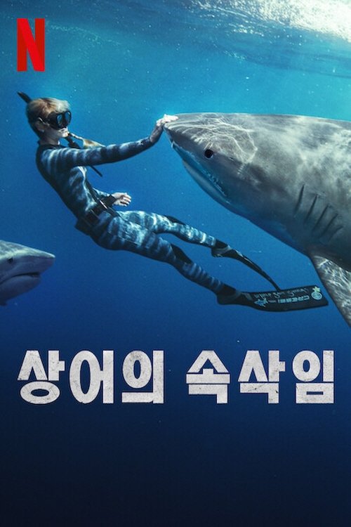 Shark Whisperer Wallpaper