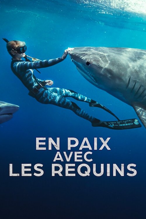 Shark Whisperer Wallpaper