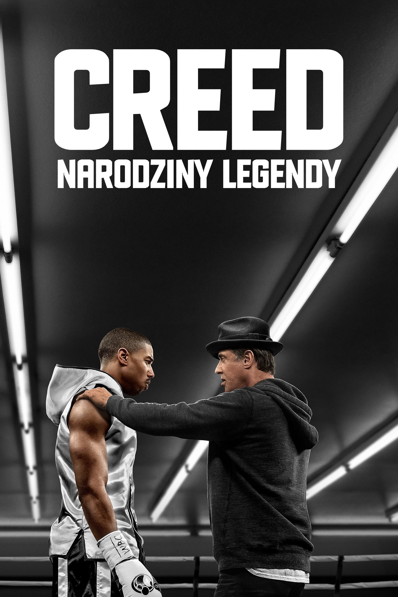 Creed Wallpaper