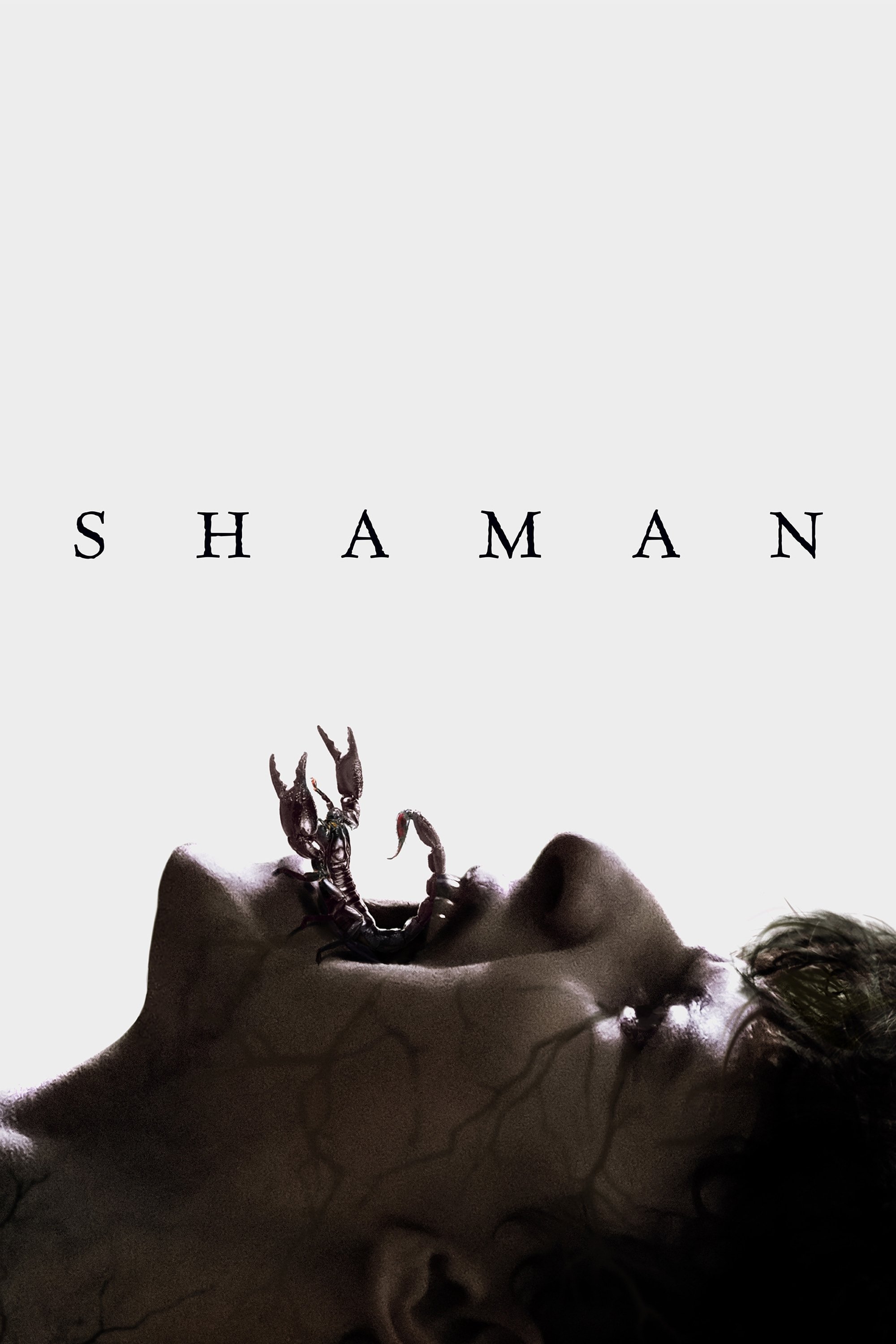 Shaman Wallpaper