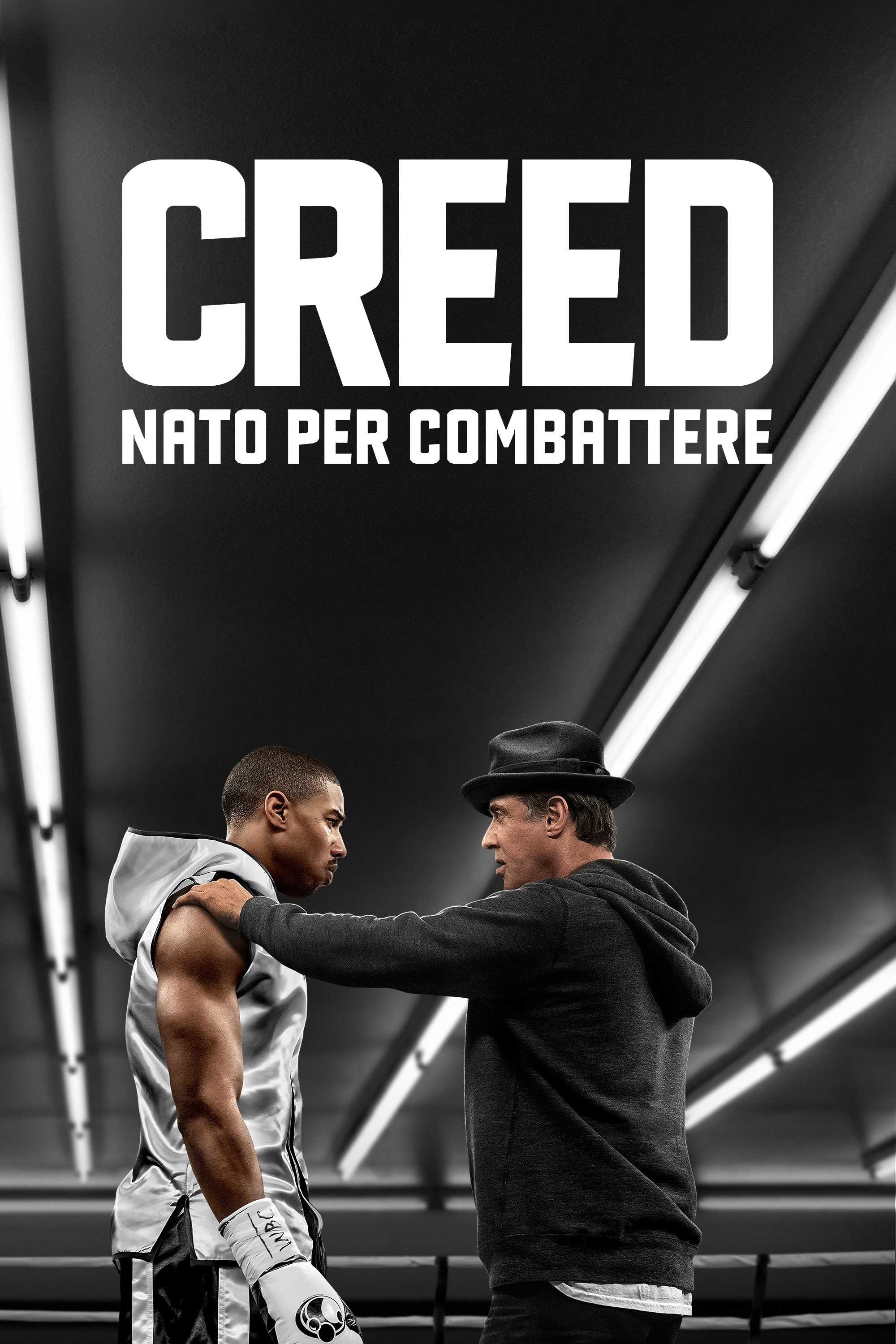 Creed Wallpaper