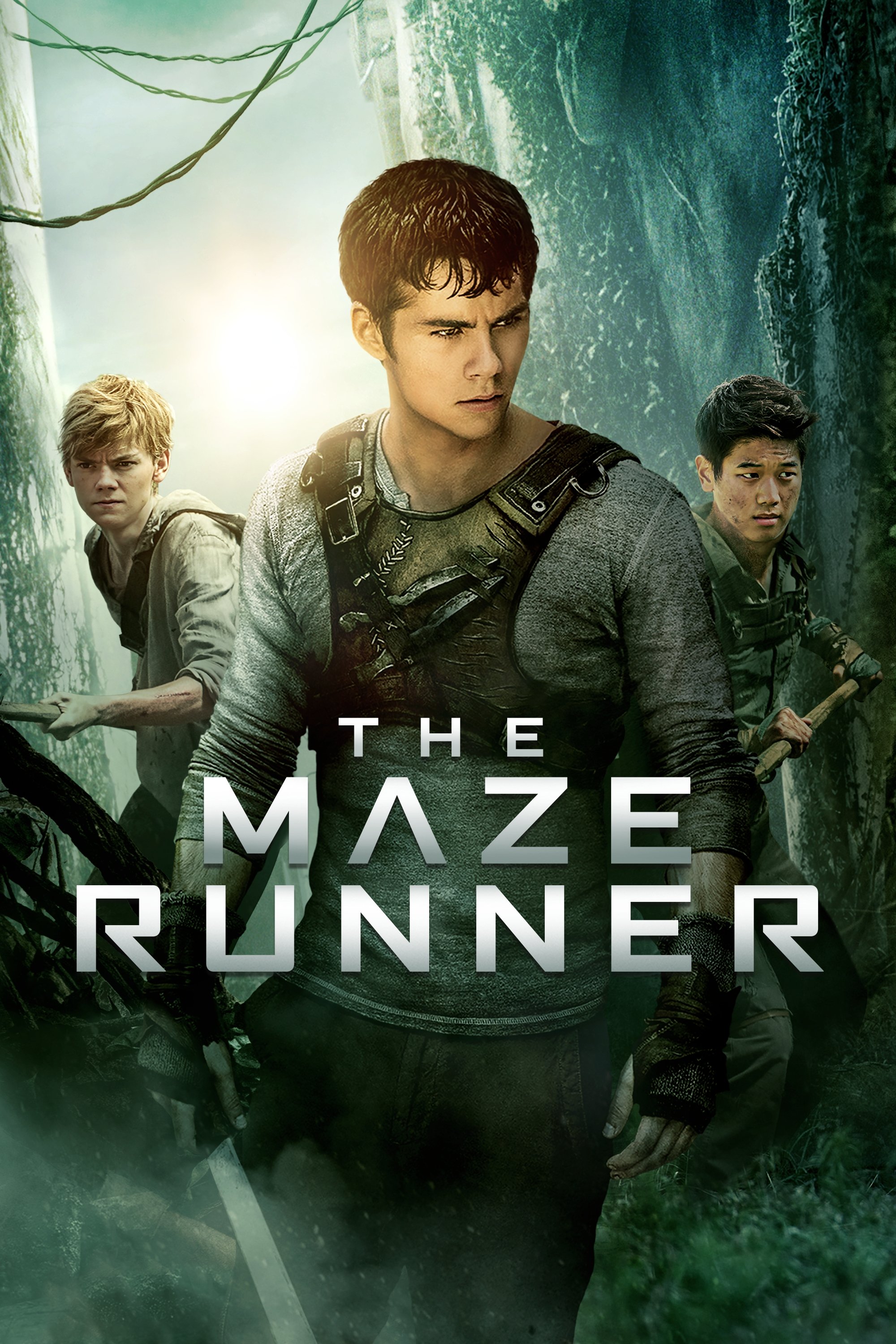 The Maze Runner Wallpaper