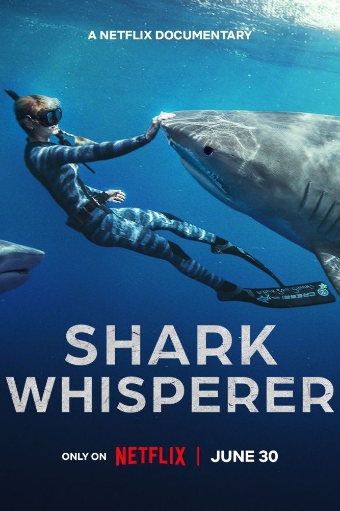Shark Whisperer Wallpaper