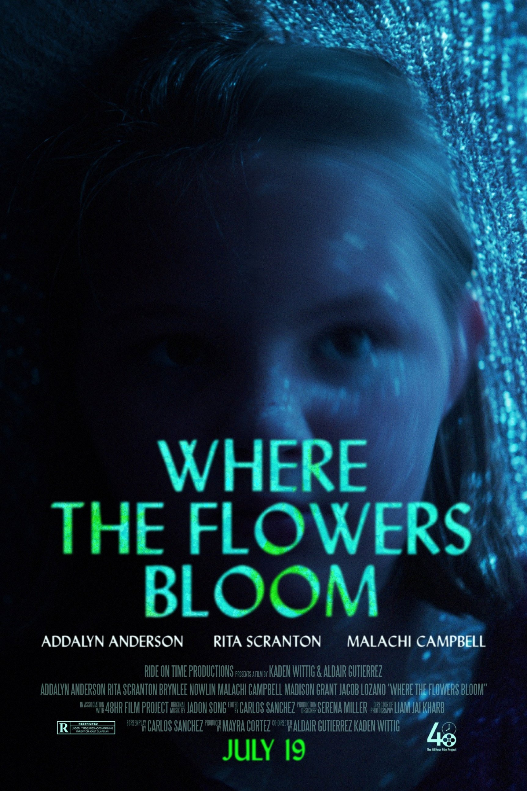 Where the Flowers Bloom Wallpaper