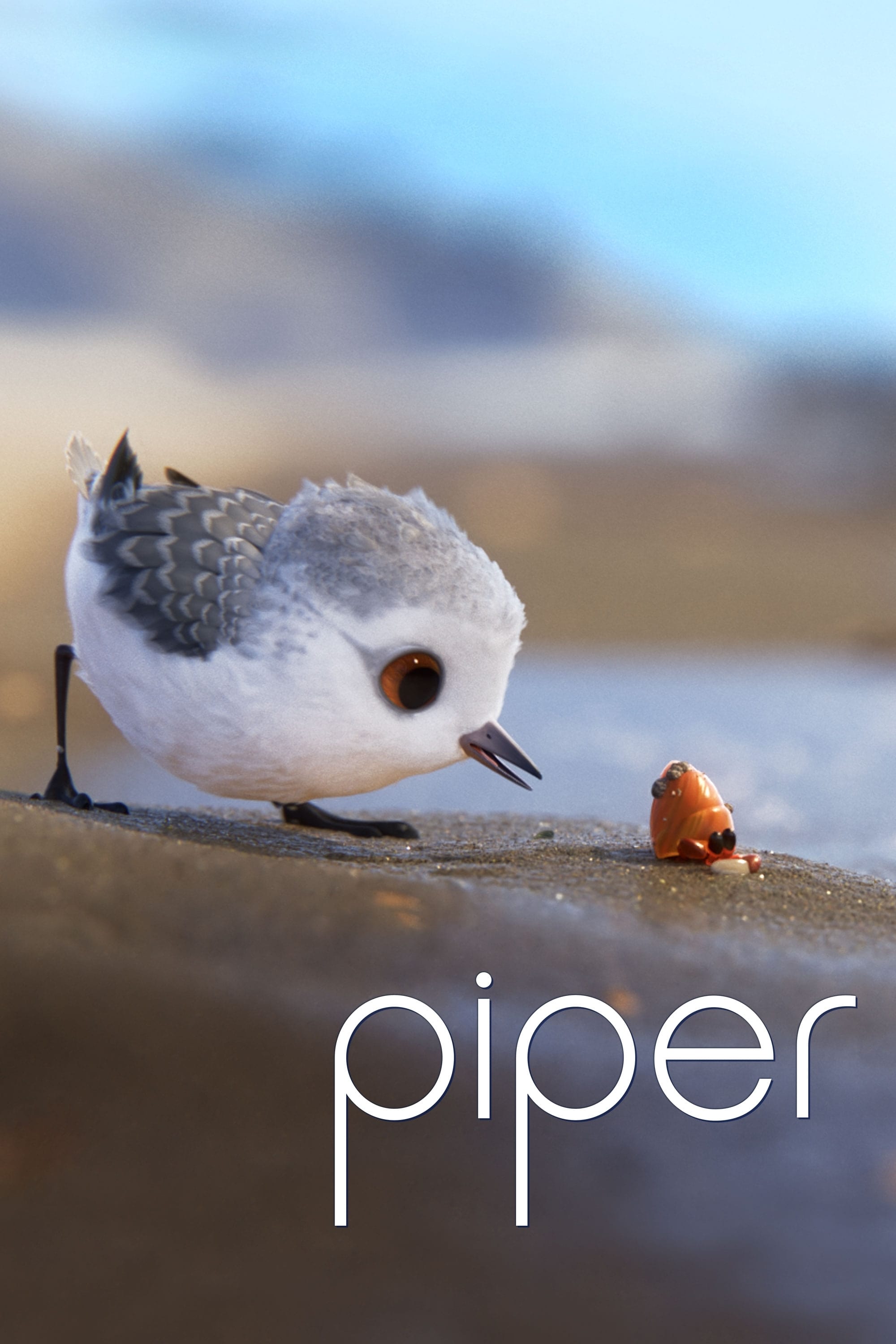 Piper Wallpaper