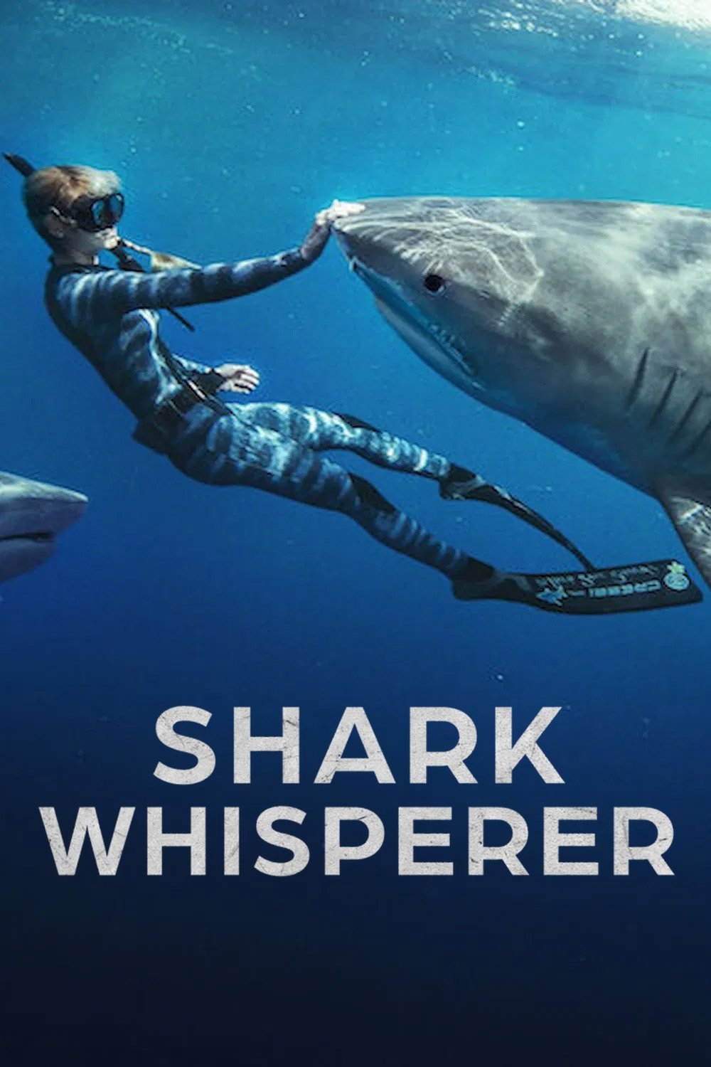 Shark Whisperer Wallpaper