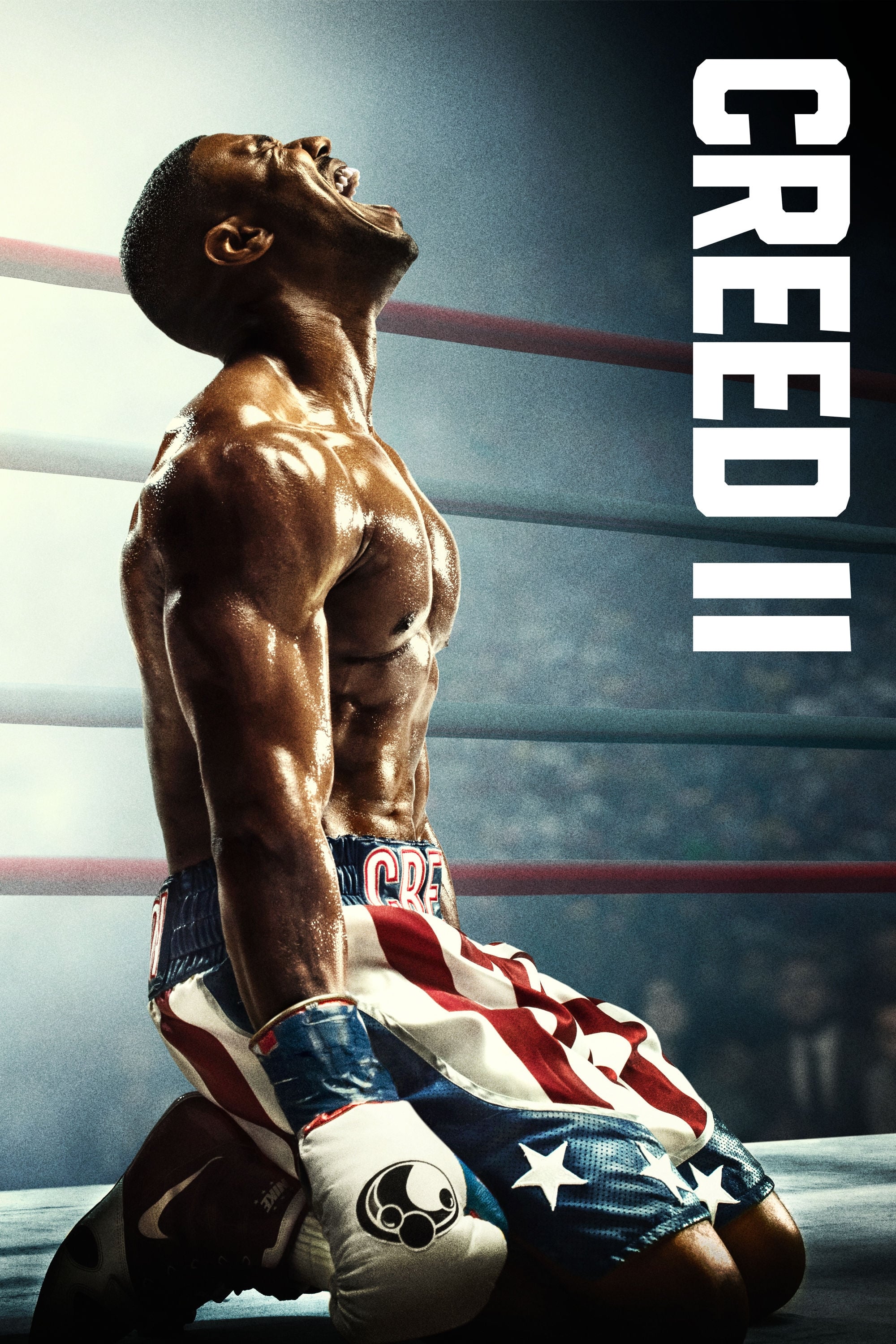 Creed II Wallpaper