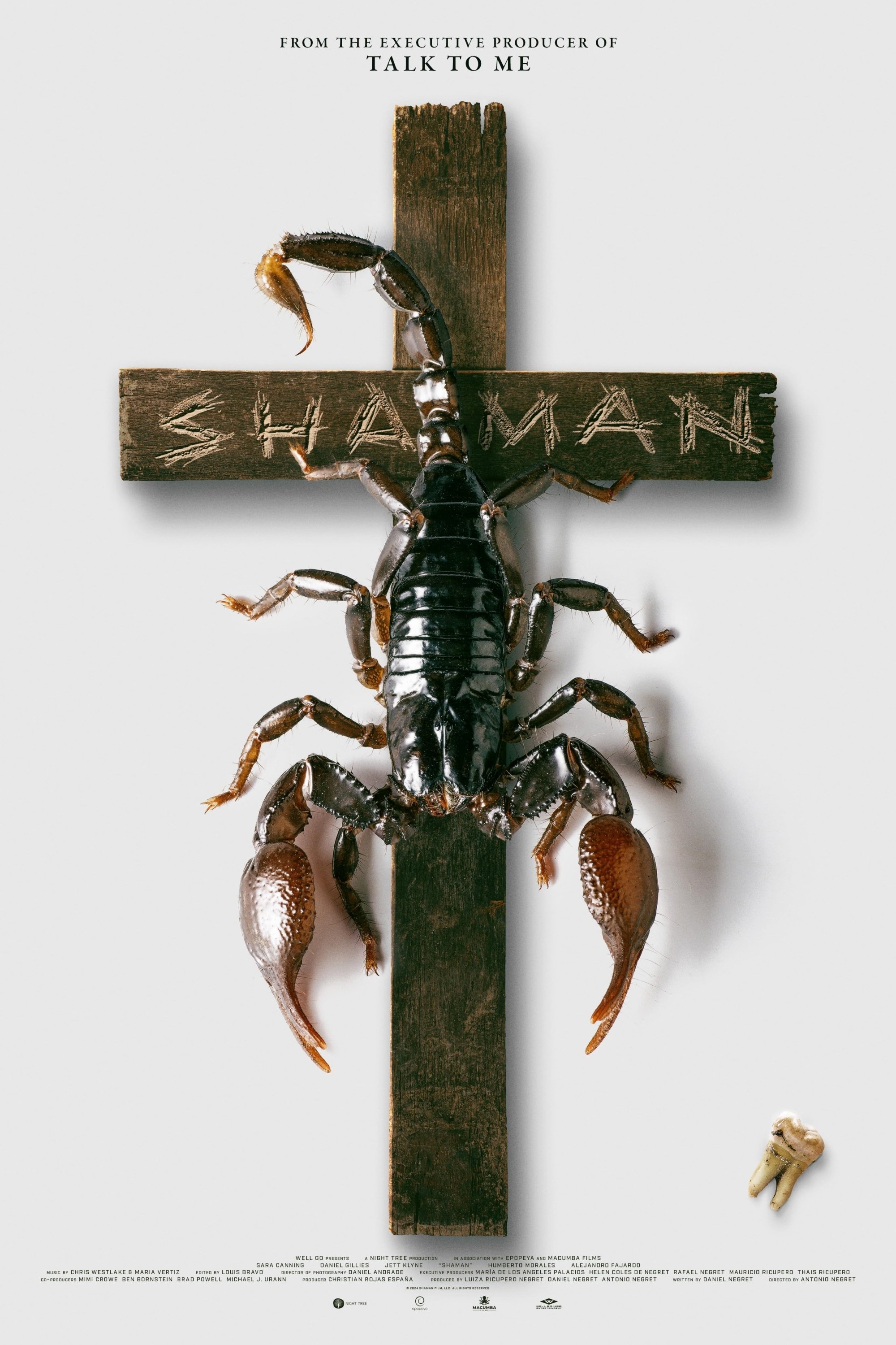 Shaman Wallpaper