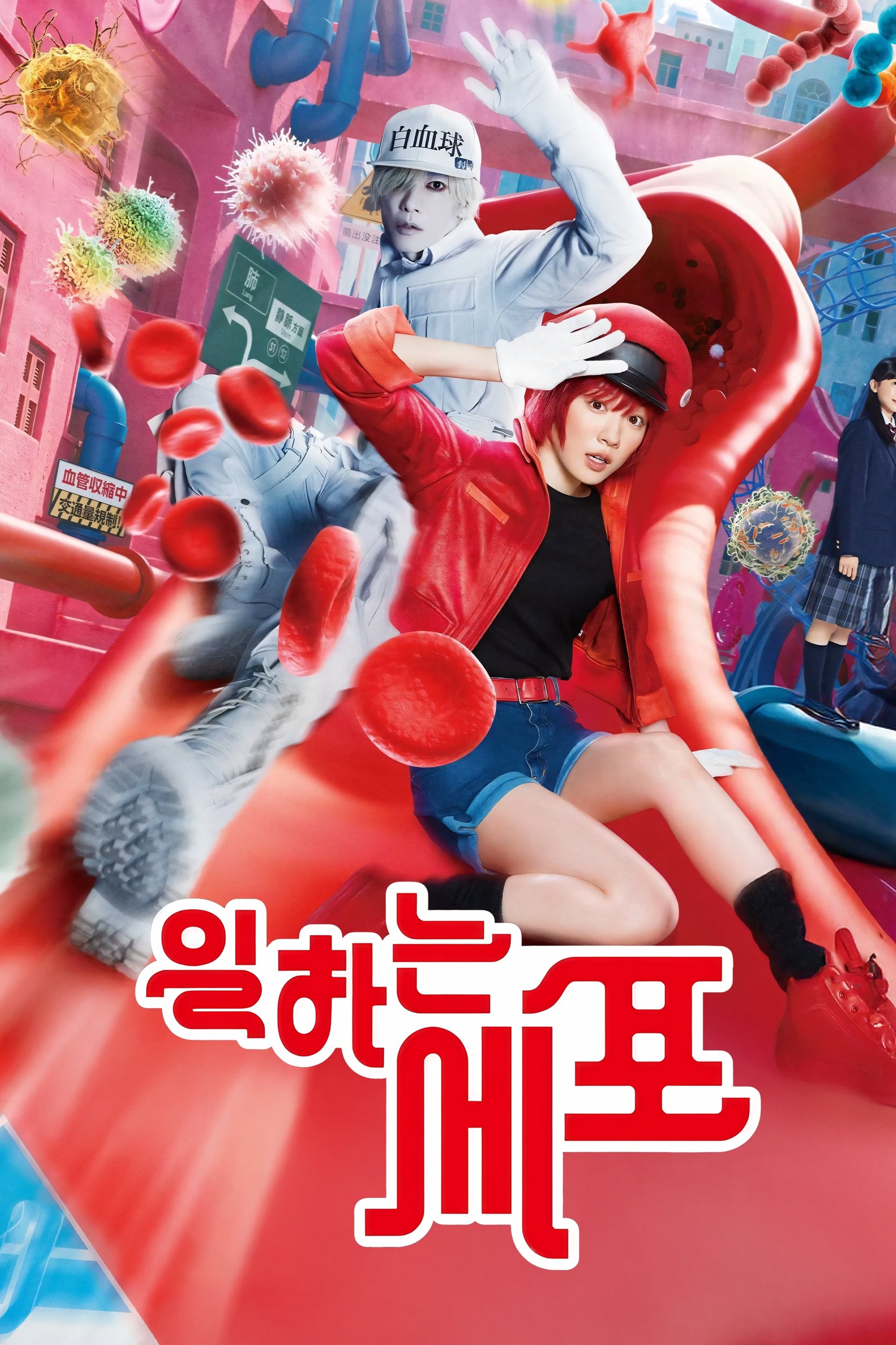 Cells at Work! Wallpaper