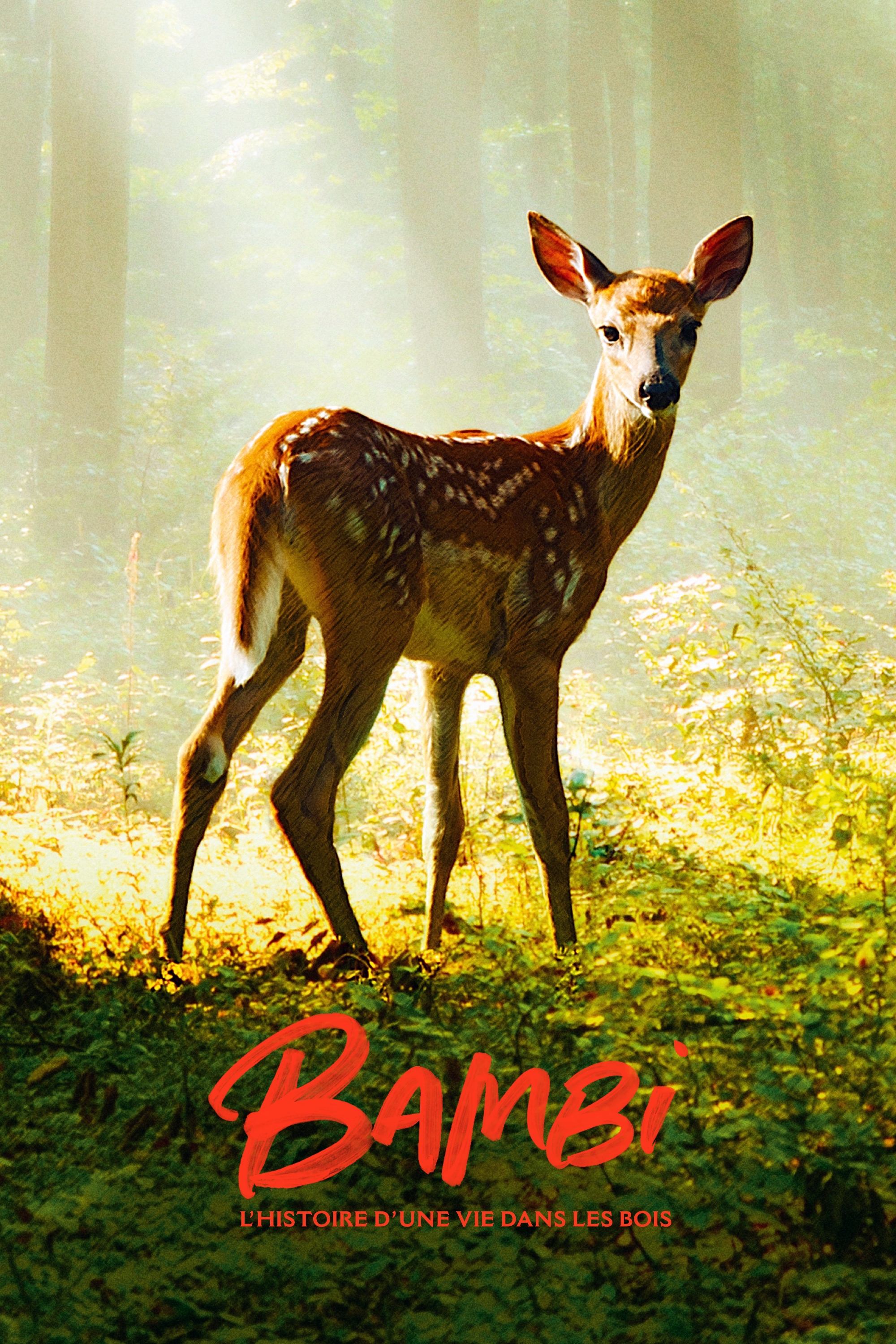 Bambi: A Life in the Woods Wallpaper