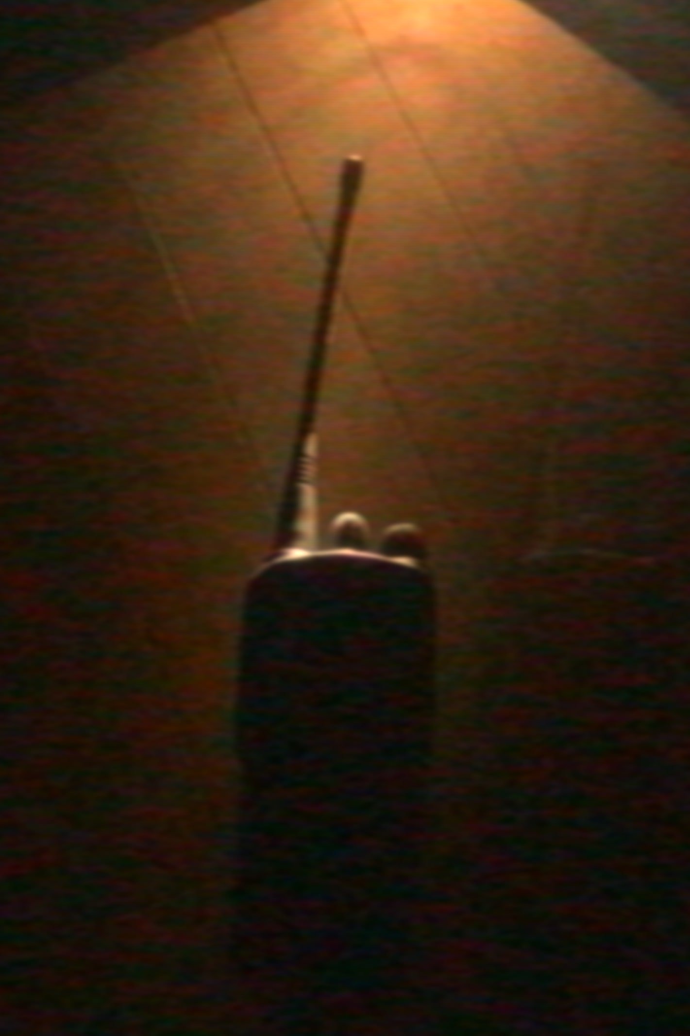Desight Wallpaper